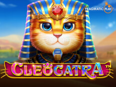 Slot machine in casino. Rüyada çok kedi görmek.95